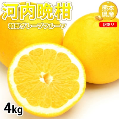 訳あり 河内晩柑 みかん 4kg【2026年3月下旬から2026年6月下旬発送予定】(宇城市)