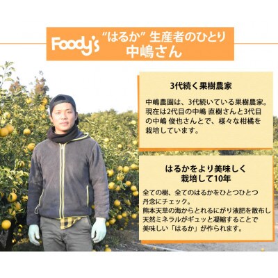 はるか みかん 5kg【2026年1月下旬から2026年4月下旬発送予定】(宇城市)