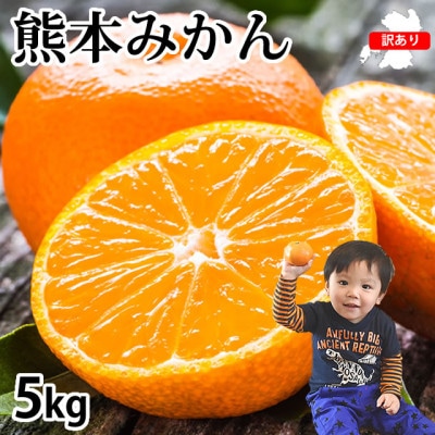 訳あり みかん 計5kg【2025年10月上旬から2026年2月下旬発送予定】(宇城市)