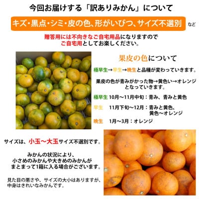 訳あり みかん 計5kg【2025年10月上旬から2026年2月下旬発送予定】(宇城市)