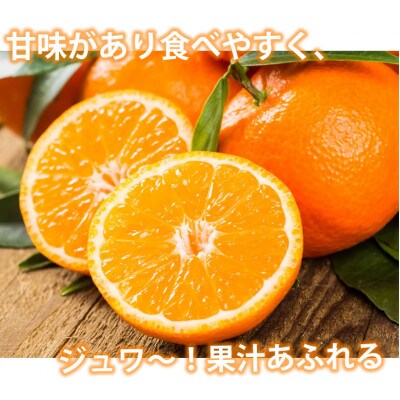 訳あり みかん 計5kg【2025年10月上旬から2026年2月下旬発送予定】(宇城市)