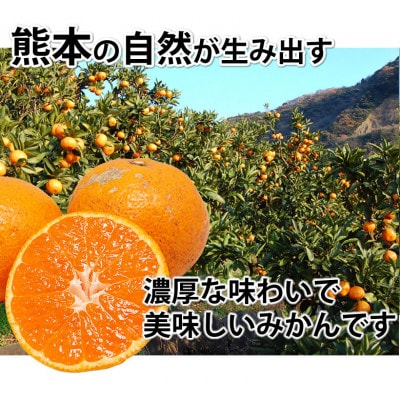 訳あり みかん 計5kg【2025年10月上旬から2026年2月下旬発送予定】(宇城市)