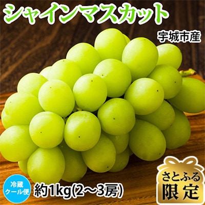 【さとふる限定】宇城市産シャインマスカット約1kg(2～3房)(宇城市)
