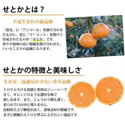 せとか みかん 2kg【2026年2月中旬から2026年4月中旬発送予定】(宇城市)