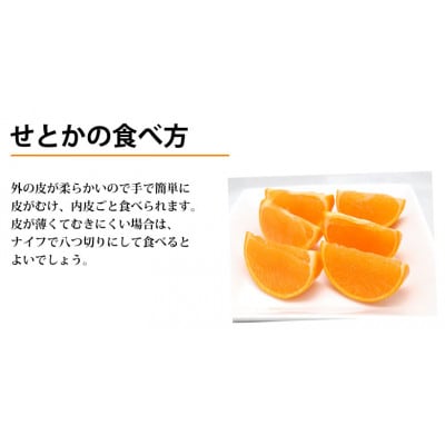 せとか みかん 2kg【2026年2月中旬から2026年4月中旬発送予定】(宇城市)