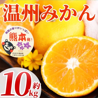 温州みかん 2S～2L 約10kg(宇城市)