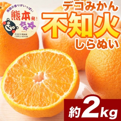 不知火 デコみかん (デコポンと同品種)5～9玉 約2kg(宇城市)