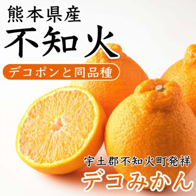 不知火 デコみかん (デコポンと同品種)5～9玉 約2kg(宇城市)