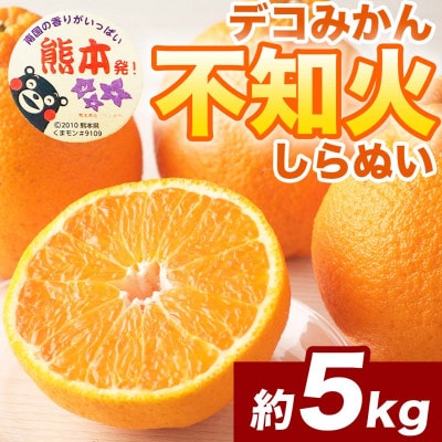 不知火 デコみかん(デコポンと同品種)12～24玉 約5kg(宇城市)