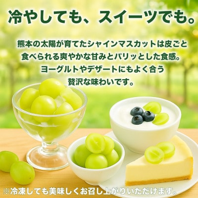 シャインマスカット ぶどう 4パック 約1.2kg(宇城市)