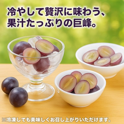 巨峰 ぶどう 4パック 約1.2kg(宇城市)