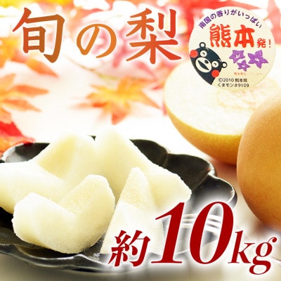 旬の梨 品種おまかせ 12～36玉 約10kg(宇城市)