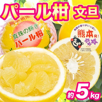 パール柑 文旦 秀品 6～18玉 約5kg(宇城市)