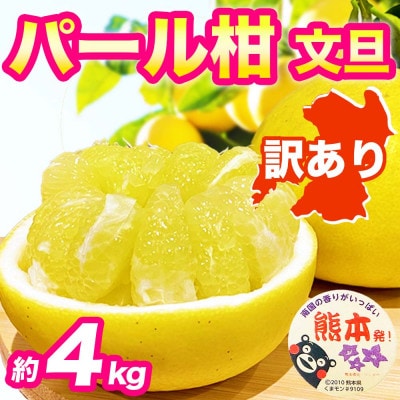 パール柑 文旦 訳あり 約4kg(宇城市)