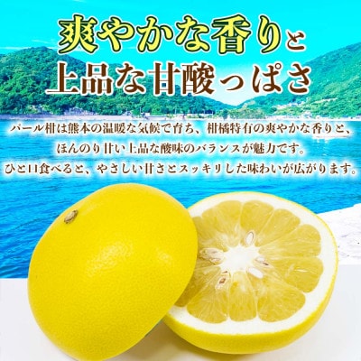 パール柑 文旦 訳あり 約4kg(宇城市)