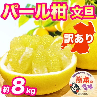 パール柑 文旦 訳あり 約8kg(宇城市)