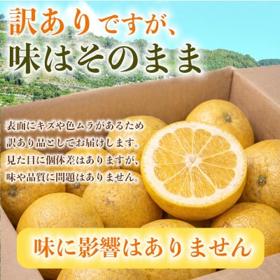 河内晩柑(ジューシーオレンジ)みかん 訳あり 約4kg(宇城市)