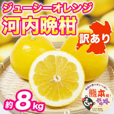 河内晩柑(ジューシーオレンジ)みかん 訳あり 約8kg(宇城市)