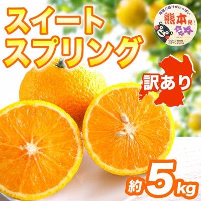 スイートスプリング みかん 訳あり 約5kg(宇城市)