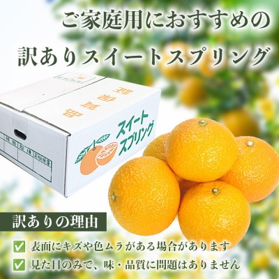 スイートスプリング みかん 訳あり 約5kg(宇城市)