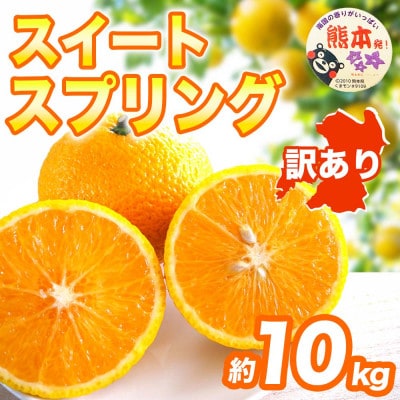 スイートスプリング みかん 訳あり 約10kg(宇城市)