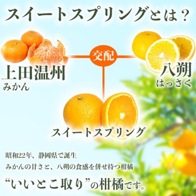 スイートスプリング みかん 訳あり 約10kg(宇城市)