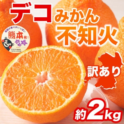 不知火 デコみかん 訳あり 約2kg(宇城市)