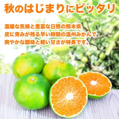 極早生みかん 2S～2L 約3kg(宇城市)