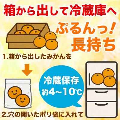 極早生みかん 2S～2L 約5kg(宇城市)