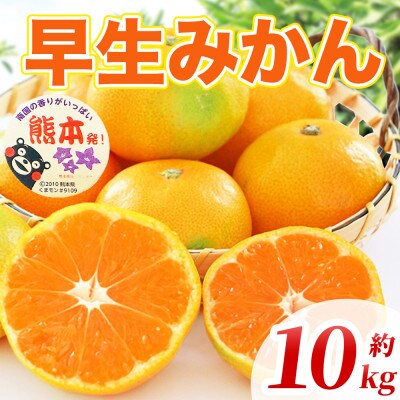 早生みかん 2S～2L 約10kg(宇城市)