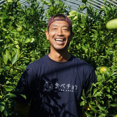 九州限定!! 宇城市 不知火 熊本大見柑 チューハイ 330ml×6本【la Nui.】