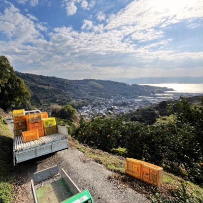 TAKAOKA FARM ORIGINAL LIQUEUR 500ml 1本【la Nui.】