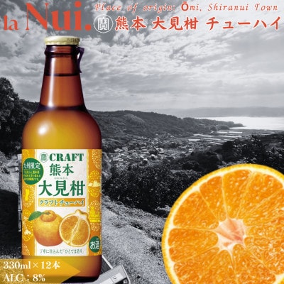 九州限定!! 宇城市 不知火 熊本大見柑 チューハイ 330ml×12本【la Nui.】