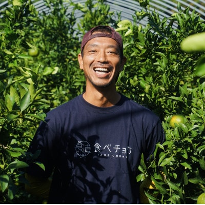 九州限定!! 宇城市 不知火 熊本大見柑 チューハイ 330ml×12本【la Nui.】