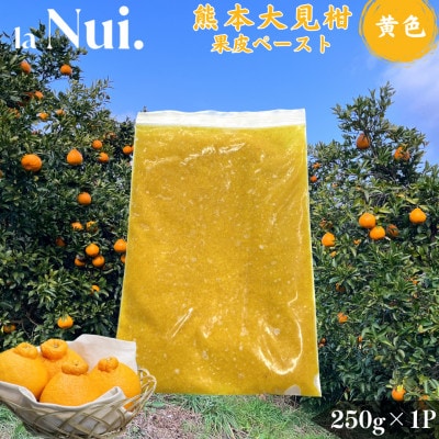 不知火 熊本大見柑 果皮ペースト 黄色 約250g×1P 宇城市【la Nui.】