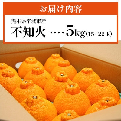 不知火【先行予約!2026年2月上旬～発送予定】宇城市産 約5kg(15玉～22玉)【ひかる農園】