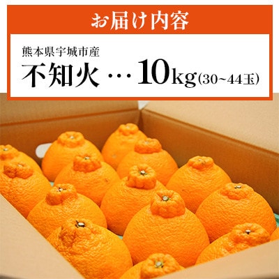 不知火【先行予約!2026年2月上旬～発送予定】宇城市産 計10kg(30玉～44玉)【ひかる農園】
