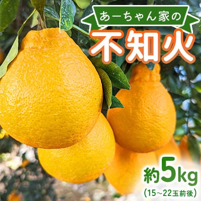 【先行予約2026年4月上旬～発送予定】あーちゃん家の不知火 約5kg【早川果樹園】