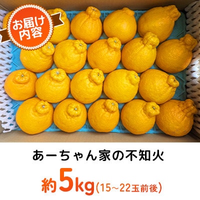 【先行予約2026年4月上旬～発送予定】あーちゃん家の不知火 約5kg【早川果樹園】