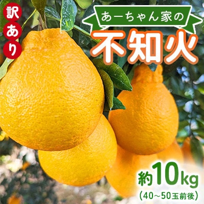 【先行予約2026年4月上旬～発送予定】あーちゃん家の不知火 訳あり 約10kg【早川果樹園】