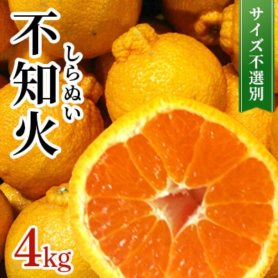 【先行予約 2026年1月下旬～発送予定】 不知火 約4kg サイズ不選別 (宇城市)