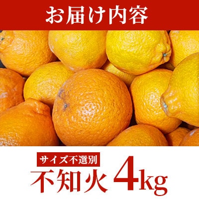 【先行予約 2026年1月下旬～発送予定】 不知火 約4kg サイズ不選別 (宇城市)