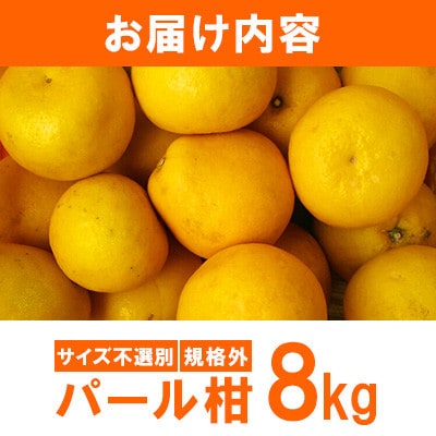 【先行予約2026年1月下旬～発送予定】パール柑 約8kg 規格外 サイズ不選別(宇城市)