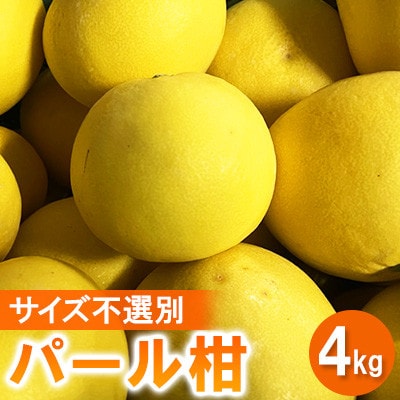 �y��s�\�� 2026�N1�����{�`�����\��z�p�[���� ��4kg �T�C�Y�s�I��(�F��s)