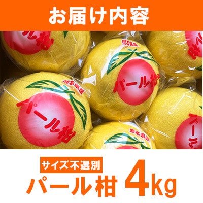 【先行予約 2026年1月下旬～発送予定】パール柑 約4kg サイズ不選別(宇城市)