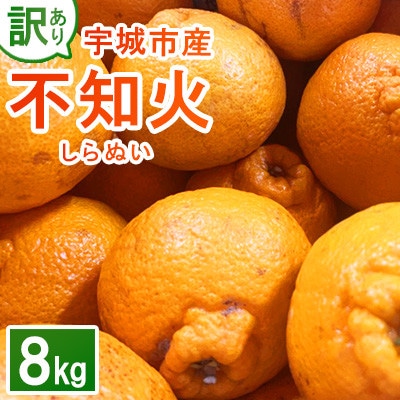 【先行予約 2026年1月下旬～発送予定 】 訳あり 不知火 計8kg 規格外 サイズ不選別(宇城市