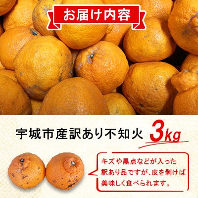 【さとふる限定】不知火 訳あり 約3kg【先行予約 2026年1月下旬～】 規格外 サイズ不選別