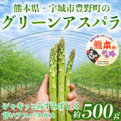熊本 宇城市産 アスパラガス S～L 約500g【日本フルーツ株式会社】(宇城市)