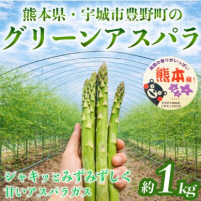 熊本 宇城市産 アスパラガス S～L 約1kg【日本フルーツ株式会社】(宇城市)