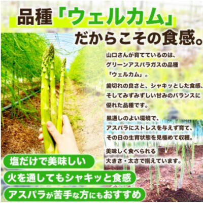 熊本 宇城市産 アスパラガス S～L 約1kg【日本フルーツ株式会社】(宇城市)